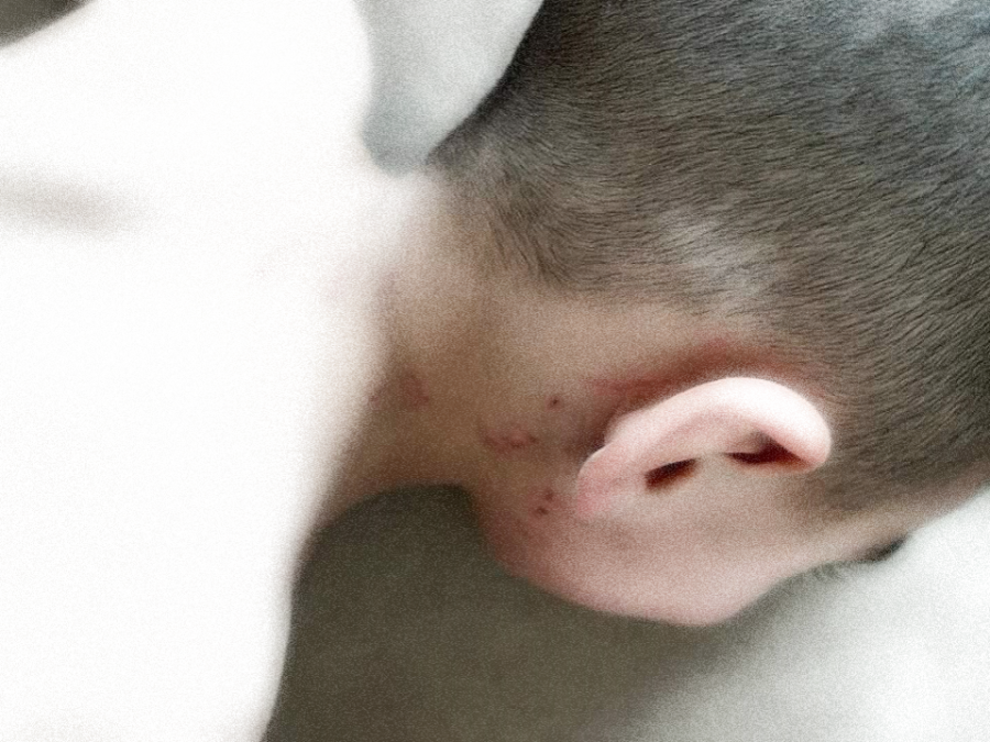 تعنيف طفل بحضانة في أم الفحم